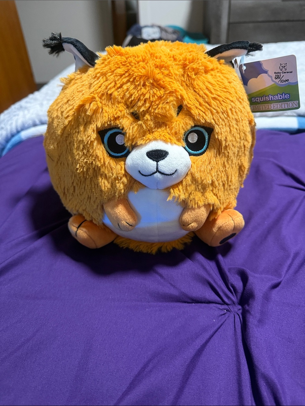 Squishable Limited Edition Orange Plush Ball Pet Toy - Cute Round Critter